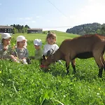 Bauernhof Bauernhof Bilgeri Hittisau