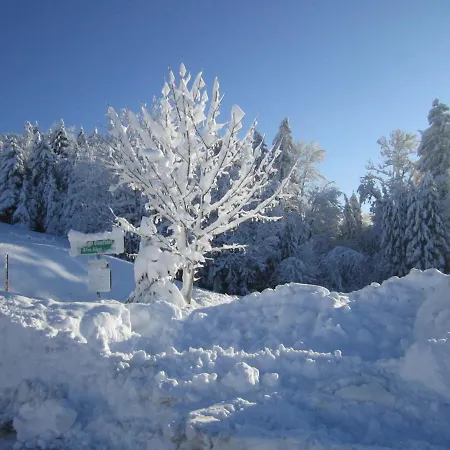 Alojamento de Turismo Rural Bauernhof Bilgeri *