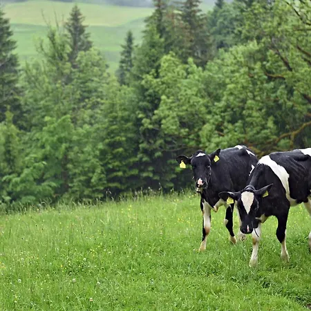 Bauernhof Bilgeri Alojamento de Turismo Rural Hittisau