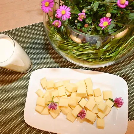 Bauernhof Bilgeri Gospodarstwo agroturystyczne