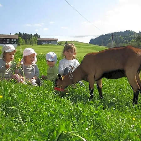 Bauernhof Bilgeri Hittisau