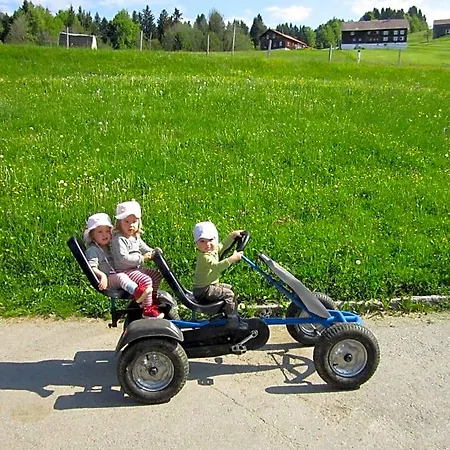 Vakantieboerderij Bauernhof Bilgeri Hittisau
