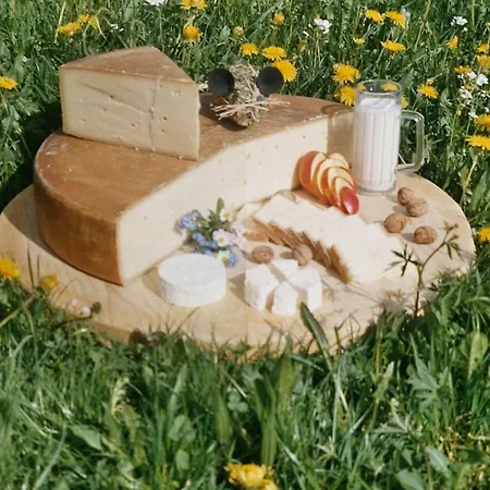 Bauernhof Bilgeri Gospodarstwo agroturystyczne *