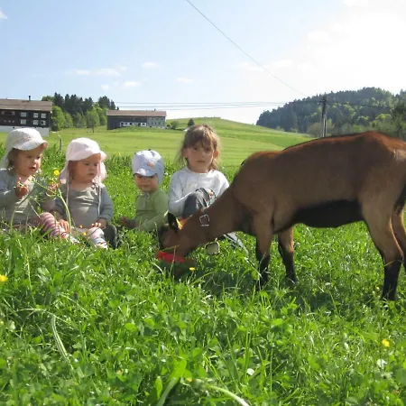 Farm stay Bauernhof Bilgeri Hittisau
