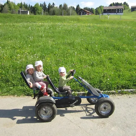 Bauernhof Bilgeri * Hittisau