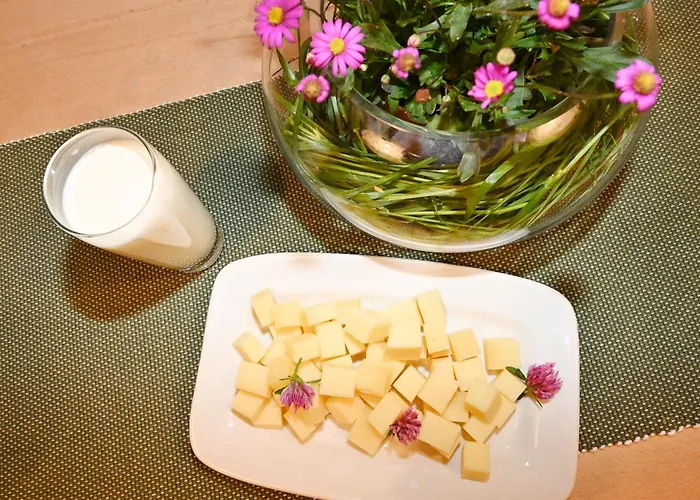 Bauernhof Bilgeri Gospodarstwo agroturystyczne